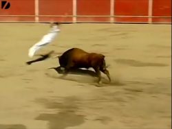 Guy Jumps Over a Bull guy jumps over a bull