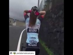 hauptsache der pferdeschwanz pas