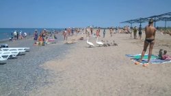 heut gehen wir mal ans meer