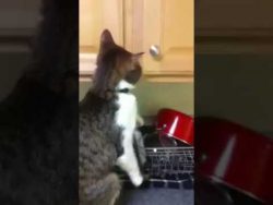 heute ist mal selbstbedienung an