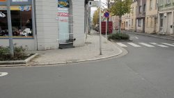 heute mal katze gegen ratte