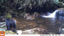 hier gehen wir ueber den bach