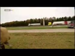 hochzeits taube faehrt per anhal