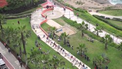 Hund auf Skateboard – Weltrekord hund auf skateboard weltrekord