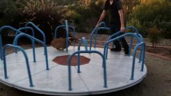 Hund hat Spaß auf einem Karussell hund hat spass auf einem karusse