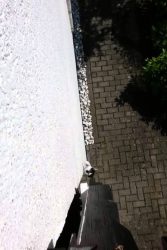 hund und katze sind gemeinsam am