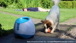 hunde ballwurf maschine macht vi