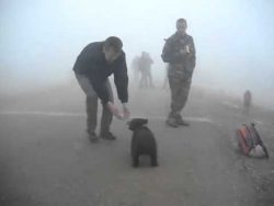 ich bin ein ganz grosser baer