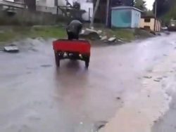 Ich fahre besoffen herum ich fahre besoffen herum