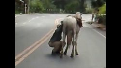 Ich will doch einfach nur nach Hause nach der Party ich will doch einfach nur nach h