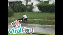 im regen den rasen maehen