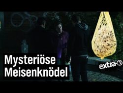 im visier des ordnungsamtes wege