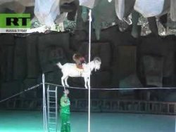 Immer höher und höher hinaus immer hoeher und hoeher hinaus