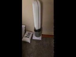 in den luftreiniger pupsen