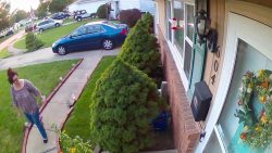 in ein spinnennetz hinein laufen