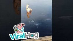 In einen zugefrorenen See springen wollen in einen zugefrorenen see spring