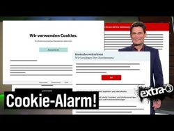 Internet Cookies: gut gemeint, schlecht gemacht | extra 3 internet cookies gut gemeint sch