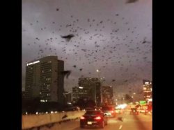 irgend etwas ist da doch los im