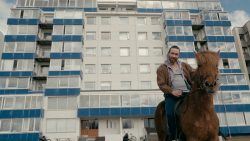 islaendischer rapper mit pferd
