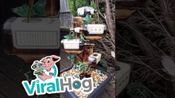 jack daniels whiskey fountain