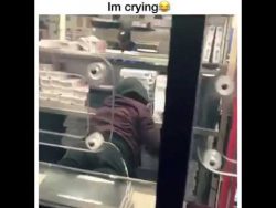 jungs klauen pizza bei dominos