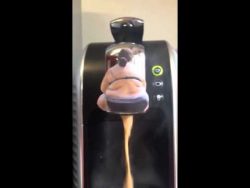 kaffee kommt frisch aus dem hint