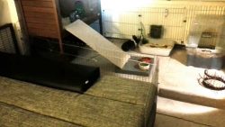 kaninchenstall erweiterung fuer