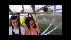 Katze als blinder Passagier katze als blinder passagier