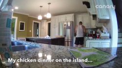 katze klaut mittagessen