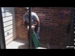 Katze mit Klappsessel fangen wollen katze mit klappsessel fangen wol