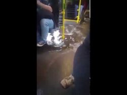 Keine Angst vor nassen Füßen keine angst vor nassen fuessen