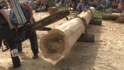 kettensaegen mit automotoren ver