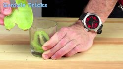 kiwi avocado schaelen in rekordz