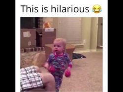 Kleines Kind nimmt dem Vater die Rassel weg kleines kind nimmt dem vater die