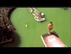 klippenspringer schlaegt mit kop