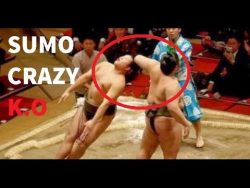 ko im ring beim sumo ringen