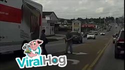 Lady Flipping Off Car Receives Instant Karma While Jaywalking lady flipping off car receives i