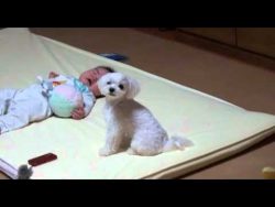 laerm bekaempft man am besten au