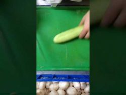 lebensmittel wirklich sehr schne