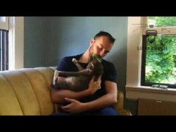 leck deine katze ab die katzenbu