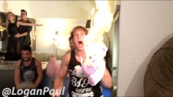 Leonardo DiCaprio gewinnt den Oscar leonardo dicaprio gewinnt den os