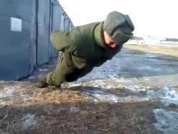 Liegestütze ohne Arme machen liegestuetze ohne arme machen