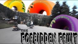 longboarding the forbidden fruit