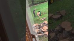 mann bekommt beim holzhacken ein