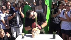 mann isst einen kaktus