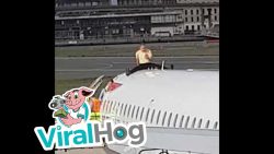 mann sitzt auf einem flugzeug