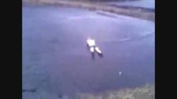 mann will hechtsprung in pool ma