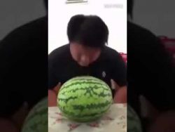 melonen headbutt