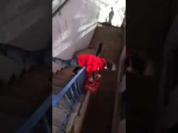 Michi bringt das Bier zur Party michi bringt das bier zur party