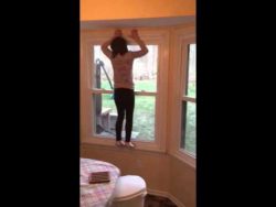 mini ninja warrior parkour